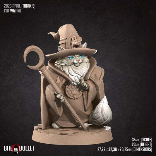 Harry the Cat Wizard - Unpainted Miniature