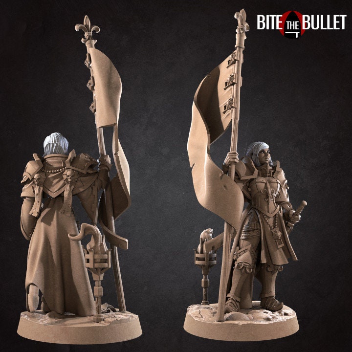 War Sister Banner Bearer - Unpainted Miniature