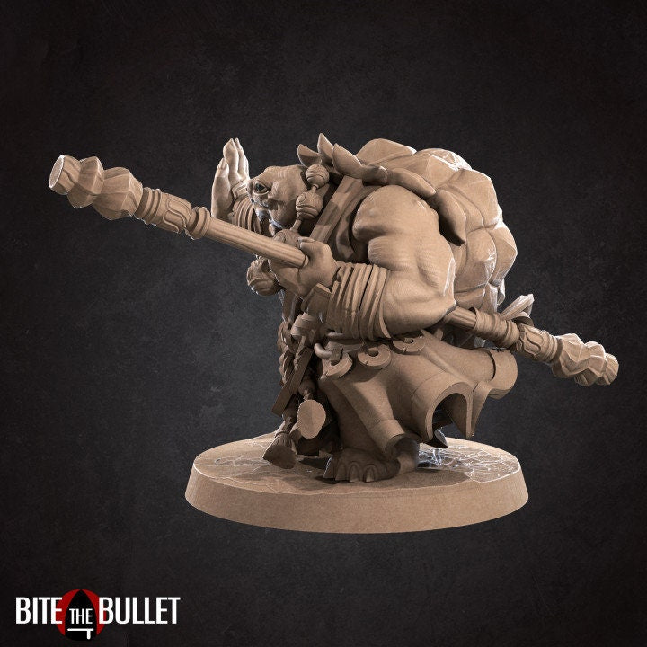 Tortle Monk - Unpainted Miniature