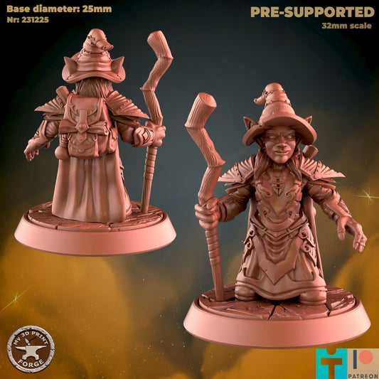 Goblin Witch - 3 Poses - Unpainted Miniature