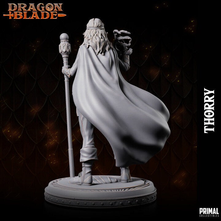 Thorry, Female Wizard - Dragonblade - Masters of Dungeons Quest