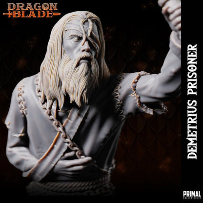 Demtrius - Human Prisoner - Dragonblade - Masters of Dungeons Quest