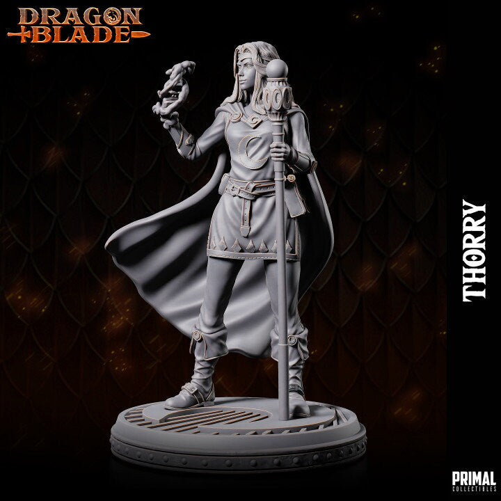 Thorry, Female Wizard - Dragonblade - Masters of Dungeons Quest