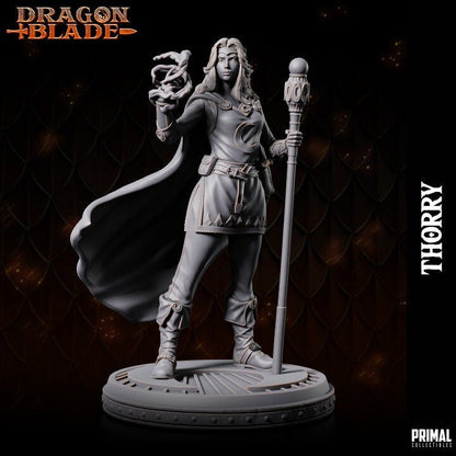 Thorry, Female Wizard - Dragonblade - Masters of Dungeons Quest