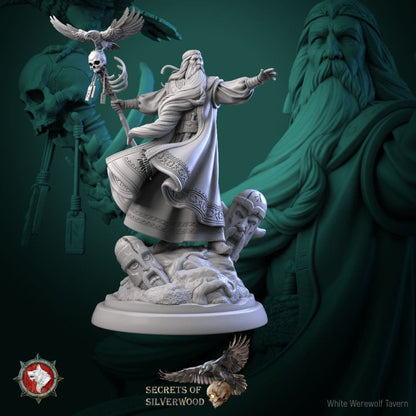 Volkhv - Secrets of Silverwood - Unpainted Miniature