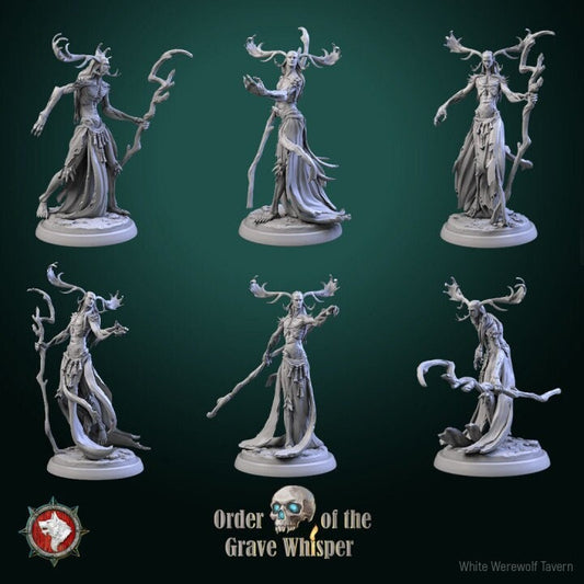 Dark Creatures - Order of the Grave Whisper - Unpainted Miniature