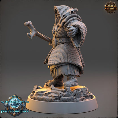 Vidarr Frostwind - The Wintershadows of Frostfang Hold - Unpainted Miniature